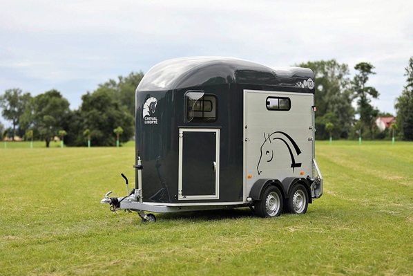 VAN 2 PLACES CHEVAL LIBERTE GOLD 3